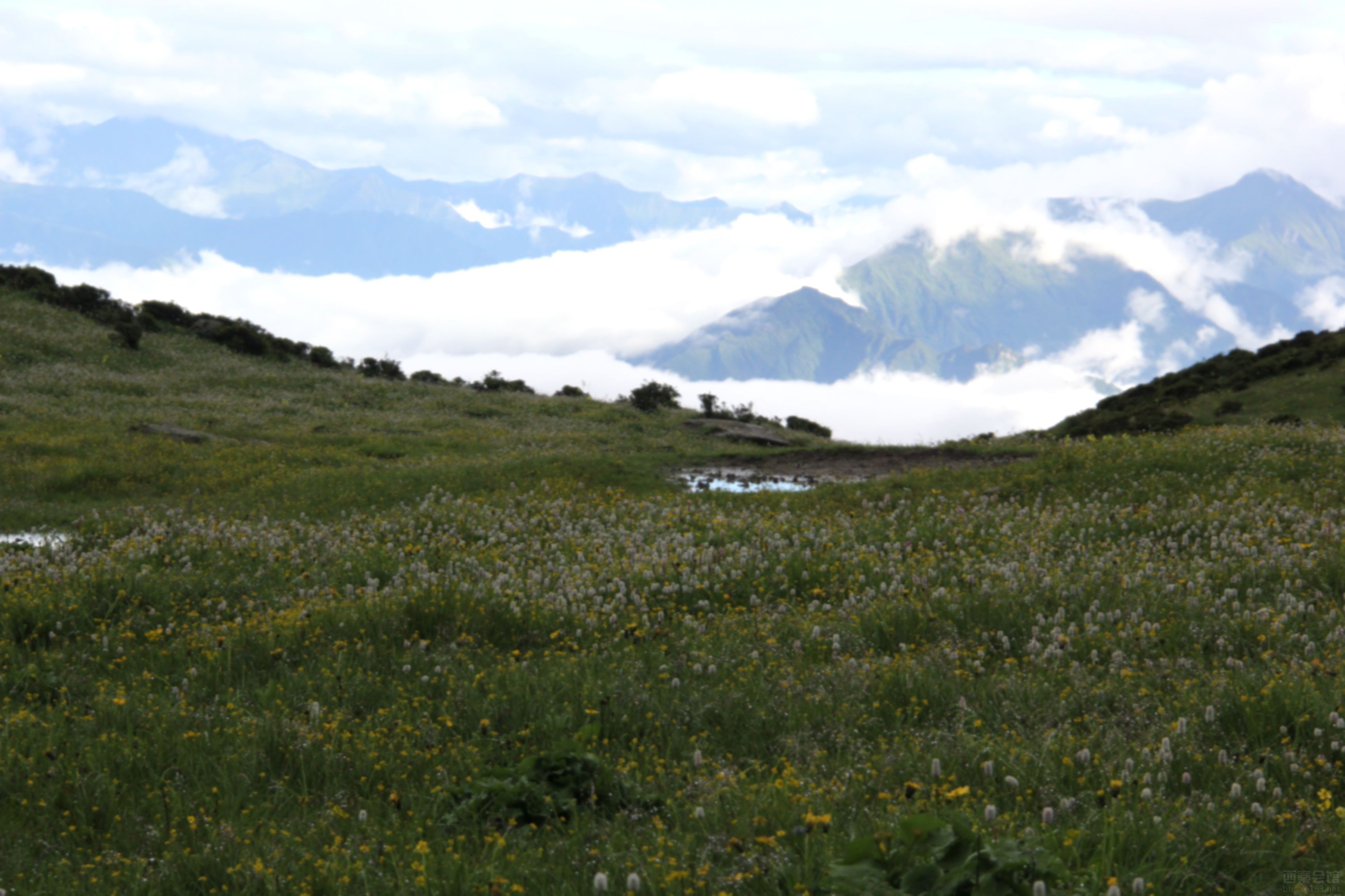 茂县九顶山最新